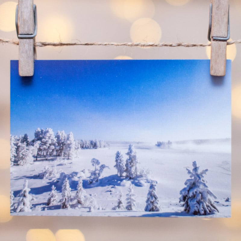 joulukortti-gopalan-putiikki-valokuvaaja-minna-kulmala