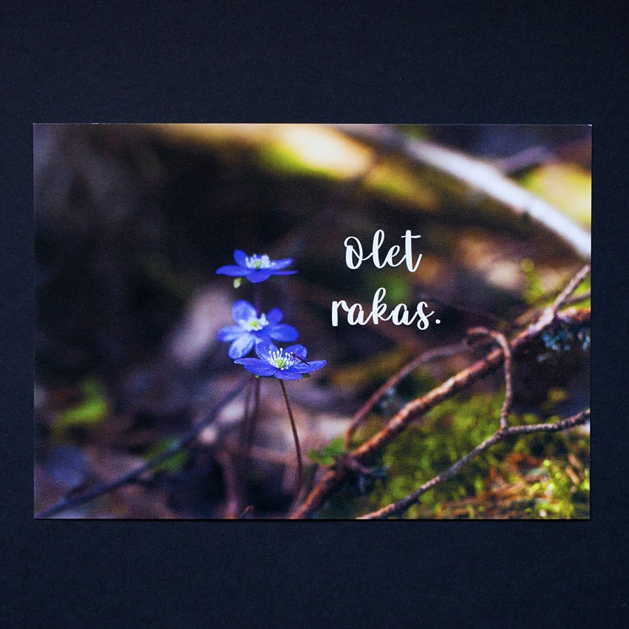 olet-rakas-postikortti